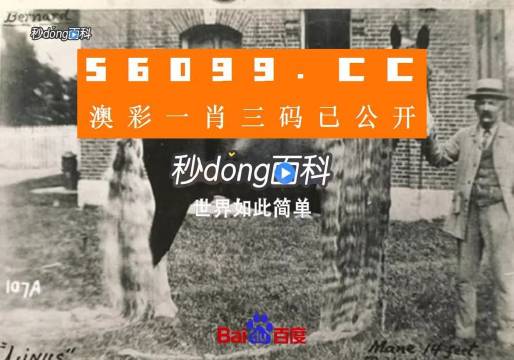 2025秒懂澳门一肖一码一一特一中厂是合法吗?,详细解答解释落实|全面详细