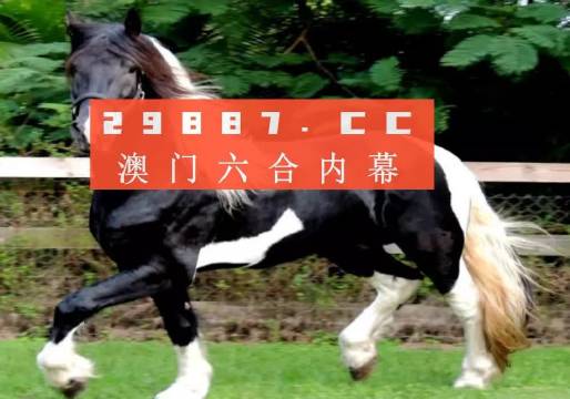 澳门和香港精准一肖一码一一中,使用释义解释落实|使用释义