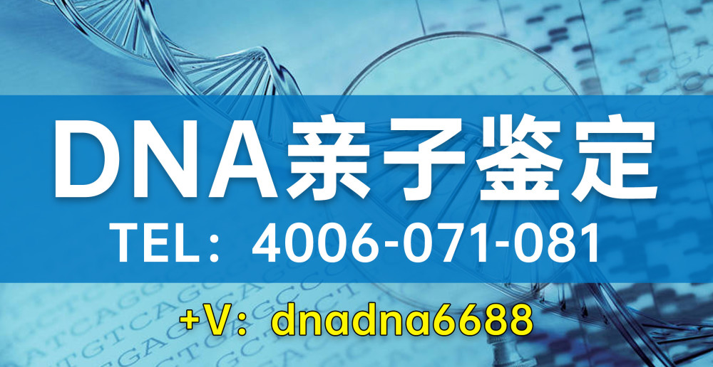 广东省dna亲子鉴定广东省DNA亲子鉴定，探索现代科技与传统需求的融合