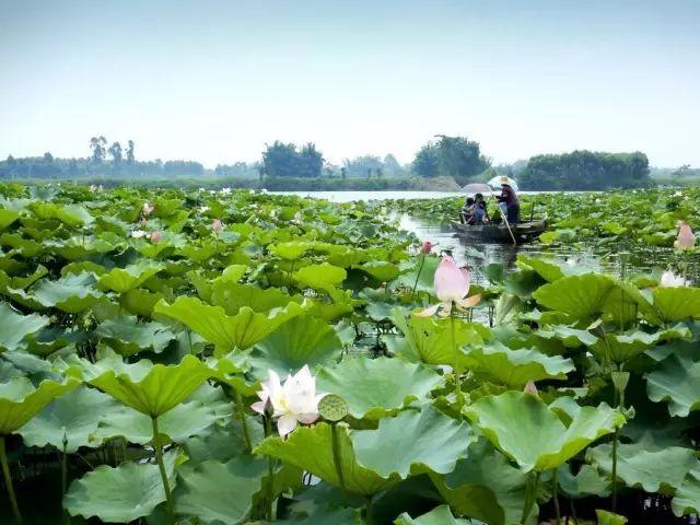 广东省水上旅游资源广东省水上旅游资源，探索岭南水乡的魅力