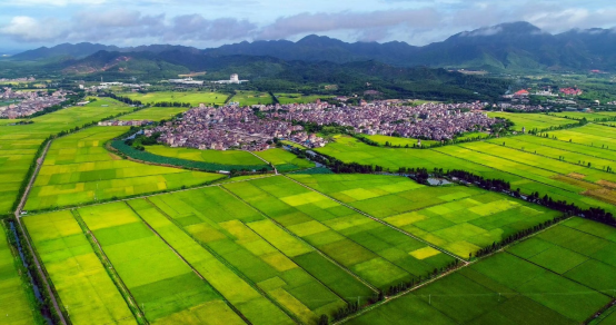 广东省土壤管控广东省土壤管控，守护绿色发展的基石