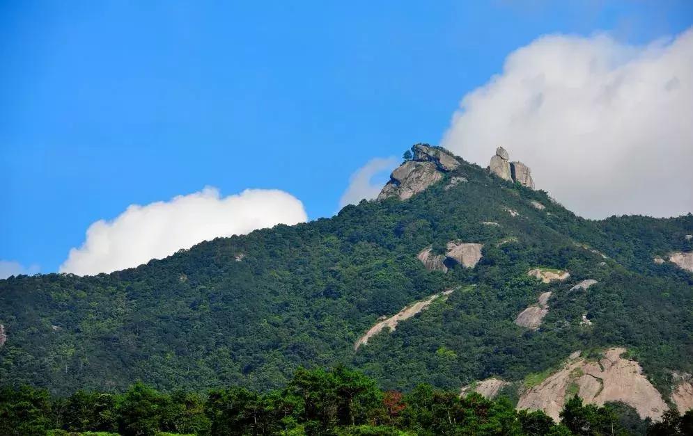 广东省增城杨梅广东省增城杨梅，一种独特的岭南风味与地域魅力