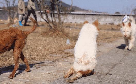 江苏博美达生命科技江苏博美达生命科技，引领生命科技新革命