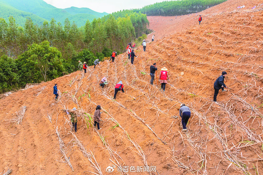 广东复垦方案有限公司广东复垦方案有限公司，引领土地复垦与生态修复的新力量