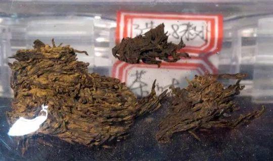 广东民丰茶业有限公司广东民丰茶业有限公司，传承与创新茶叶文化的典范