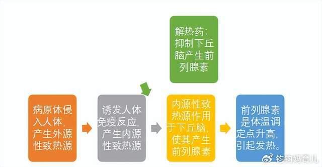 16个月宝宝发烧怎么办关于16个月宝宝发烧怎么办的实用指南