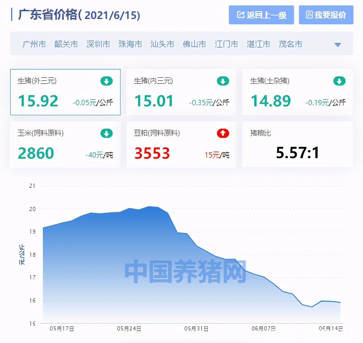 广东省猪价行情广东省猪价行情分析