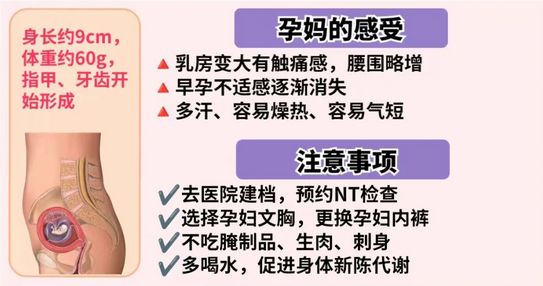 三个月宝宝缺铁怎么补三个月宝宝缺铁如何科学补充——新手爸妈必看指南